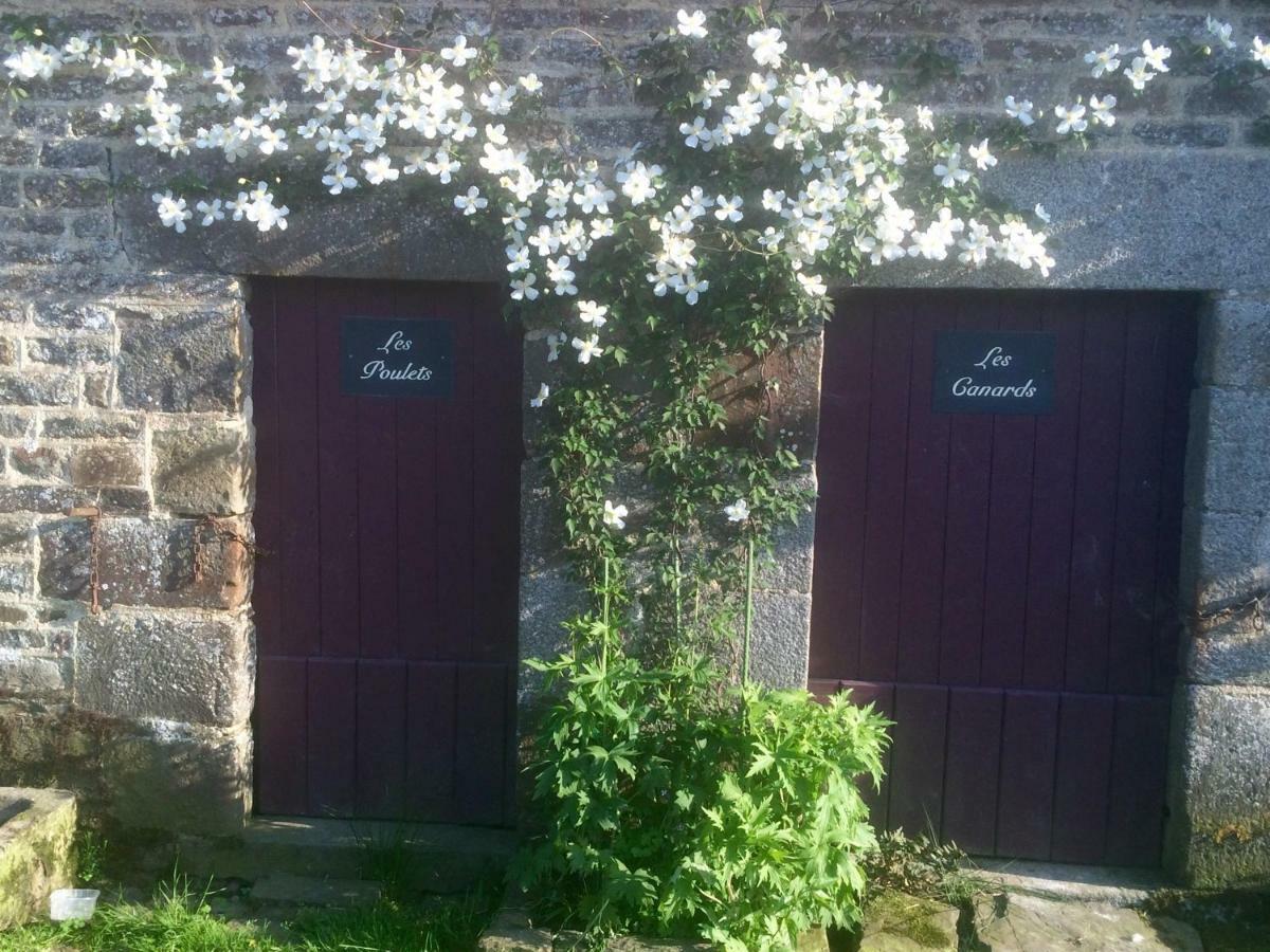 La Crepelliere Acomodação com café da manhã Villedieu-les-Poëles Exterior foto